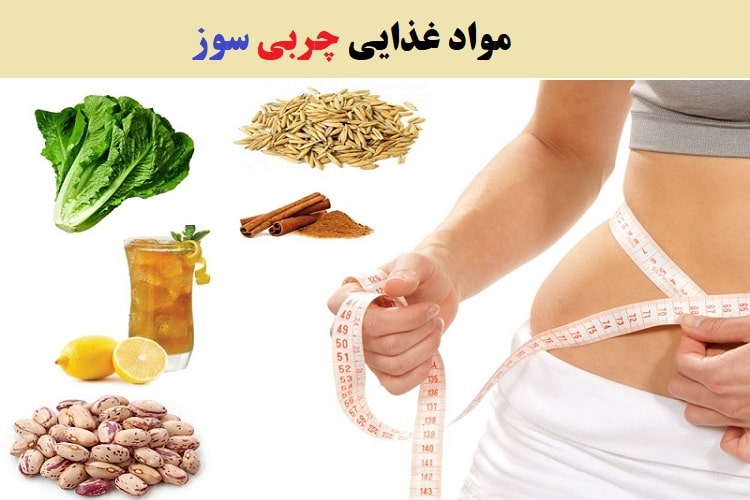 برنامه غذایی دوره کات و چربی سوزی در بدنسازی