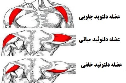 تزریق استروئید به سرشانه