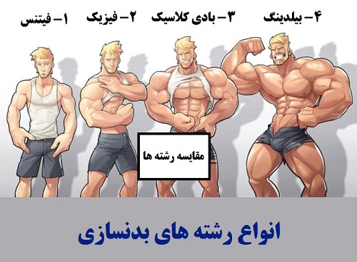 انواع رشته های بدنسازی